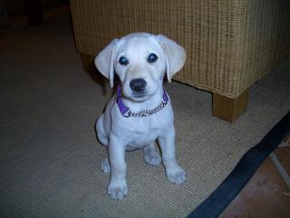Samantha9.JPG