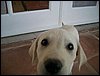 Samantha5.JPG
