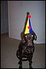 amaiyas-halloween2003.jpg
